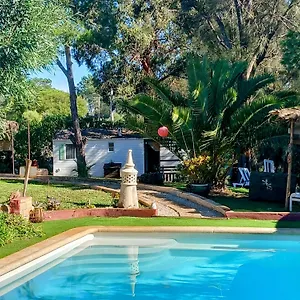 Casa Koala Da Valdareina, Bénagil, Carvoeiro, Marinha Carvoeiro (Lagoa)